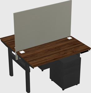 Shared electric desk
