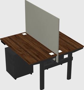 Shared electric desk
