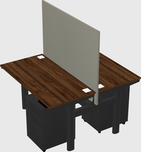 Shared electric desk
