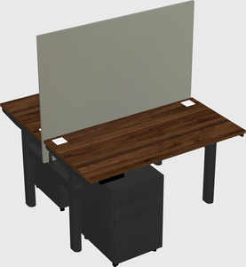 Shared electric desk