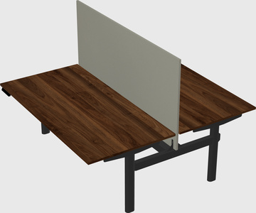 Shared electric desk