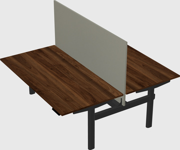 Shared electric desk