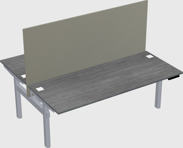 Shared electric desk