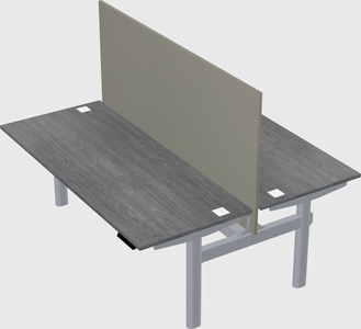 Shared electric desk