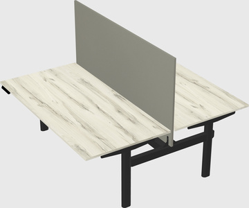Shared electric desk