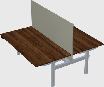 Shared electric desk
