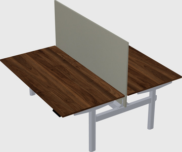 Shared electric desk