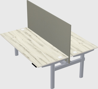Shared electric desk
