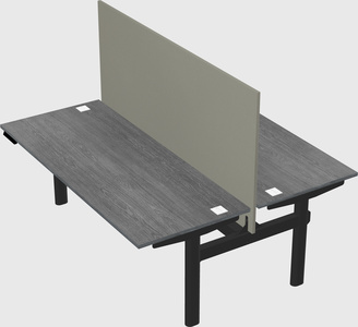Shared electric desk