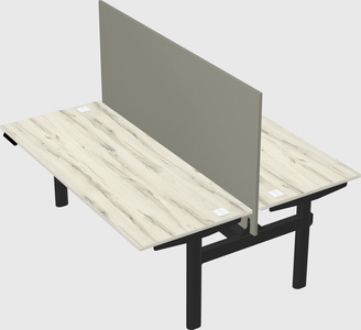 Shared electric desk