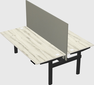 Shared electric desk