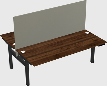 Shared electric desk