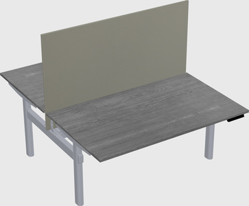 Shared electric desk