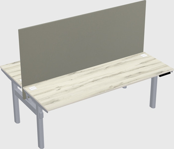 Shared electric desk