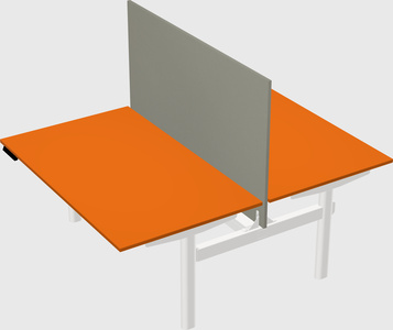Shared electric desk