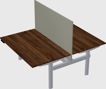 Shared electric desk