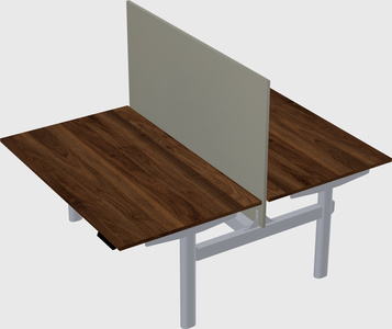 Shared electric desk