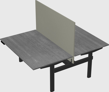 Shared electric desk