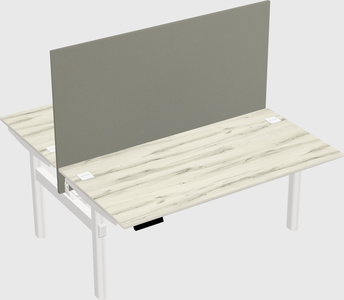 Shared electric desk