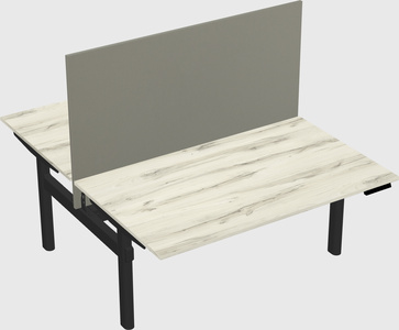 Shared electric desk
