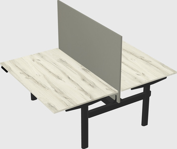 Shared electric desk