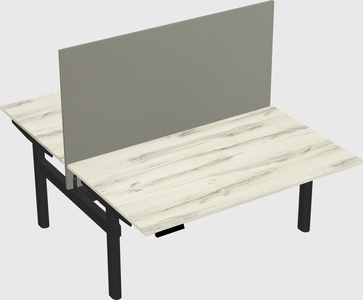 Shared electric desk