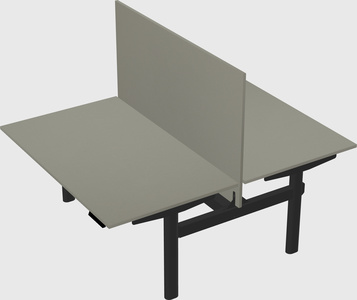 Shared electric desk