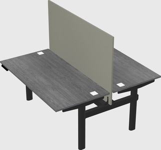 Shared electric desk
