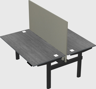 Shared electric desk