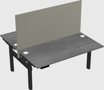 Shared electric desk