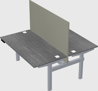 Shared electric desk