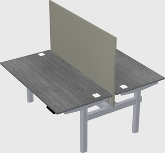 Shared electric desk