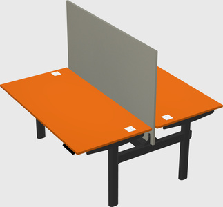 Shared electric desk