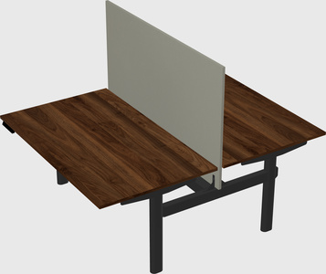Shared electric desk