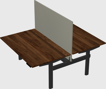 Shared electric desk
