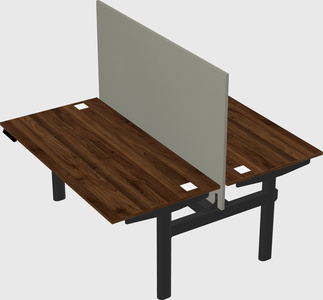 Shared electric desk