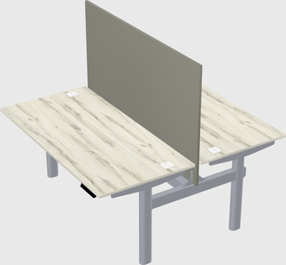 Shared electric desk
