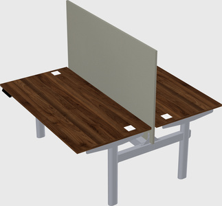 Shared electric desk