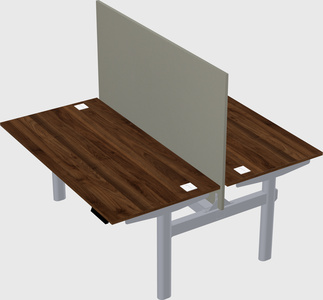 Shared electric desk