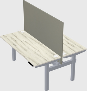 Shared electric desk