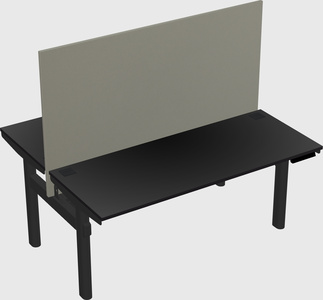 Shared electric desk
