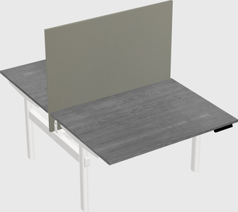 Shared electric desk