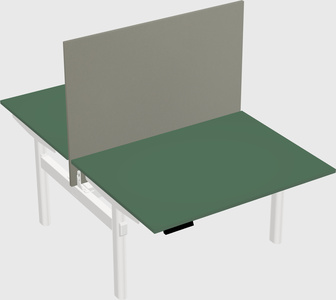Shared electric desk