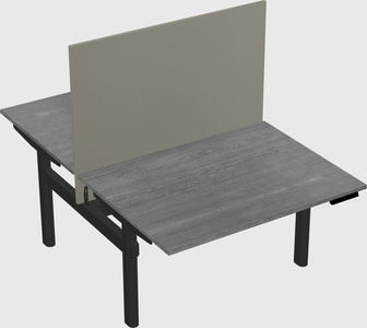 Shared electric desk