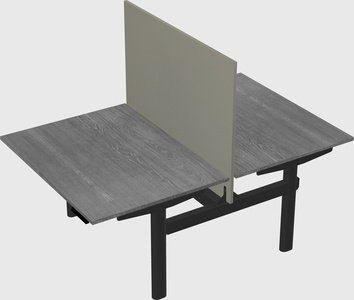 Shared electric desk