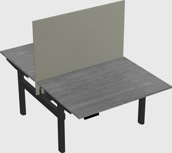 Shared electric desk