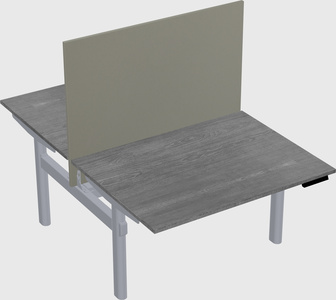Shared electric desk