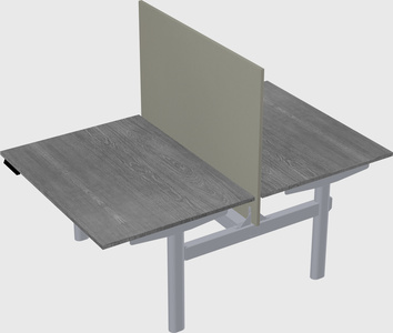 Shared electric desk