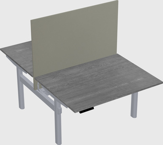 Shared electric desk