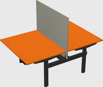 Shared electric desk